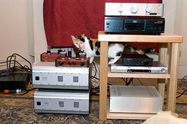 Kitty damping device.