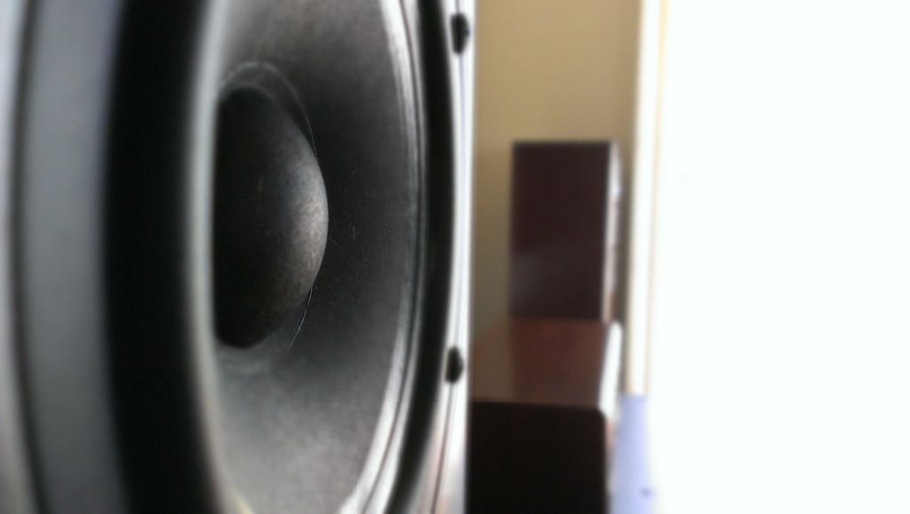 SEAS woofer.