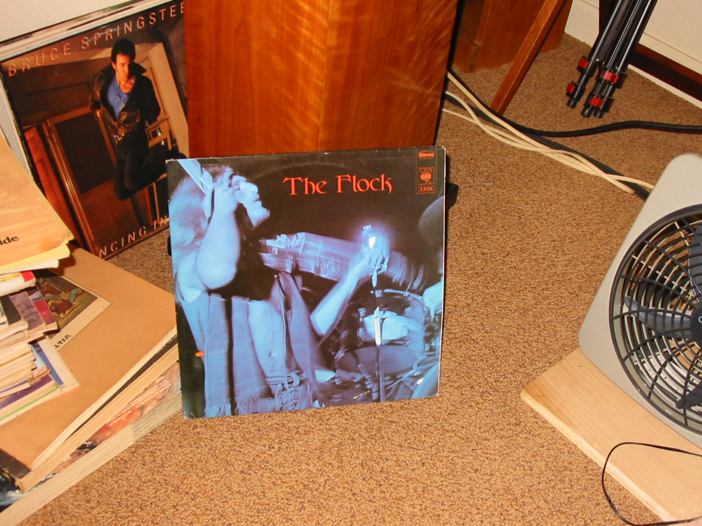 The Flock - Dbl 1st & Dino