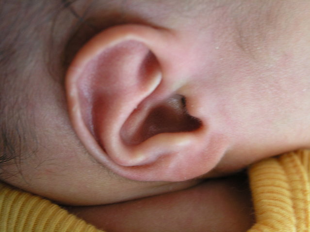 Baby Golden Ear - My boy's ear ... which will be filled with great music as often as possible!