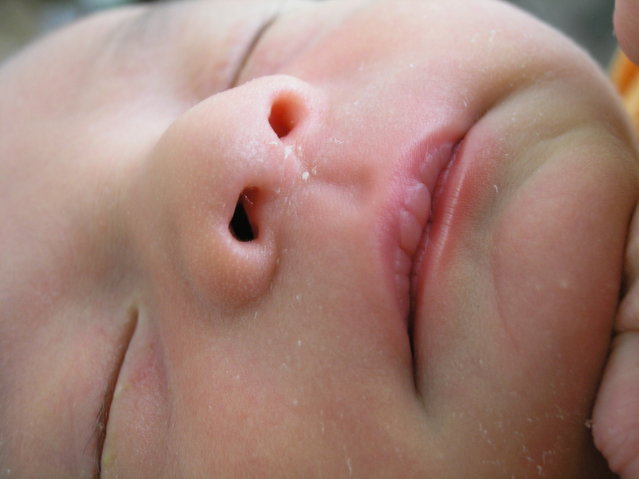 Asleep at the wheel - Kai sleeping at about 2 weeks old. Just so dang tiny!