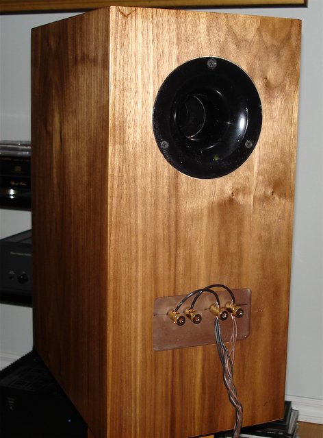 right speaker back