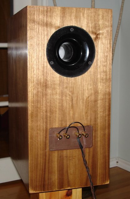 left speaker back