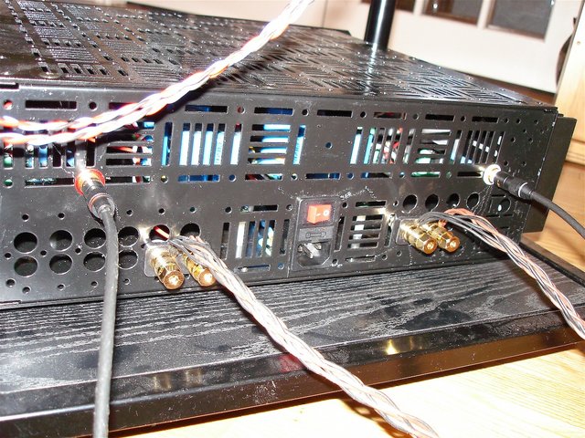back of amp detail - diy ic's