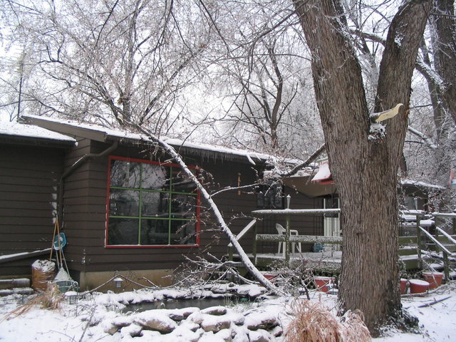 Ice storm 2006 004
