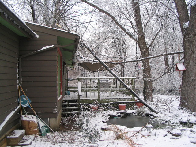Ice storm 2006 002