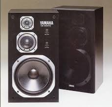 Yahama NS-500M