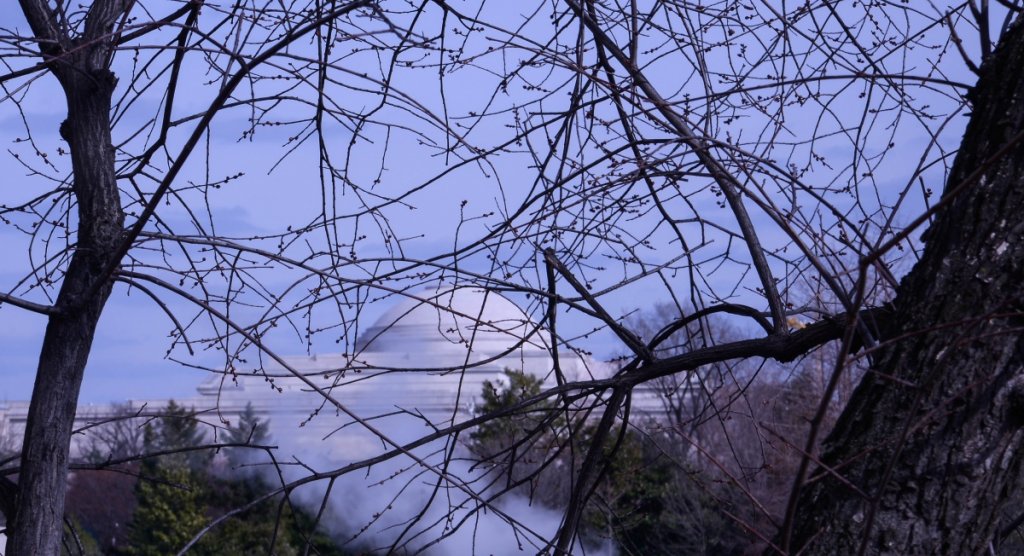 (Untitled)