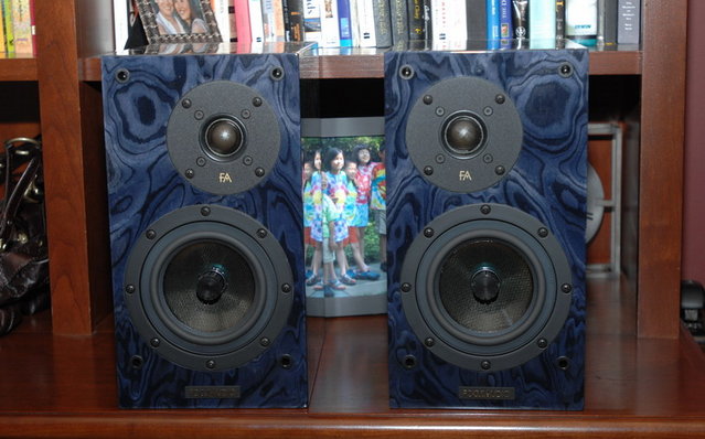 Focus Audio monitors