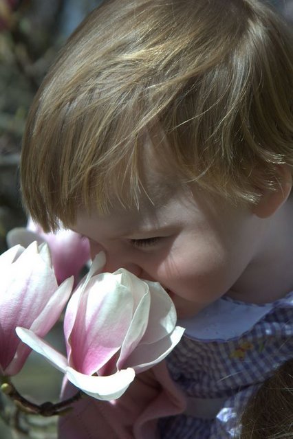 SNIFF SNIFF - Sabrina stopping to smell the roses . ..or magnolias in this case