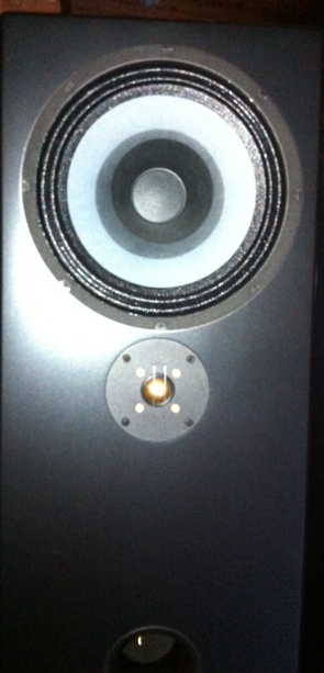 Right speaker closeup