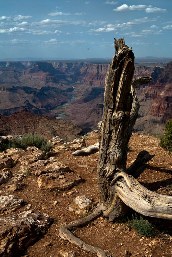 Grand Canyon on the way home from the Newport Beach show