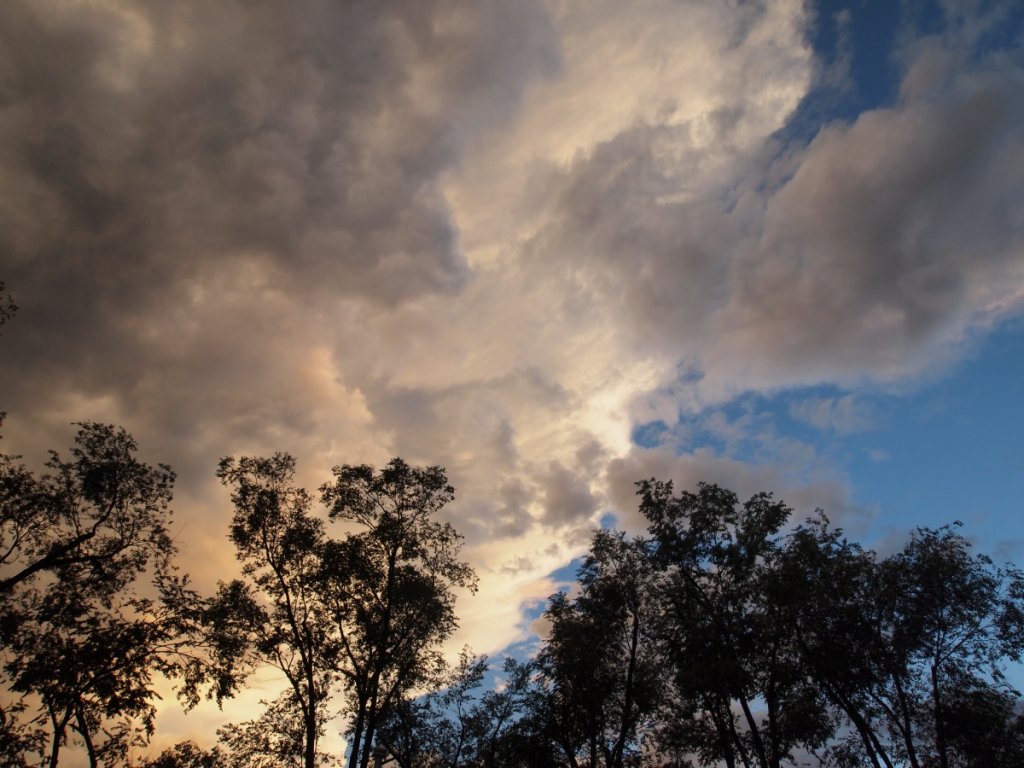 (Untitled)