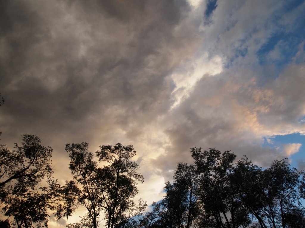 (Untitled)