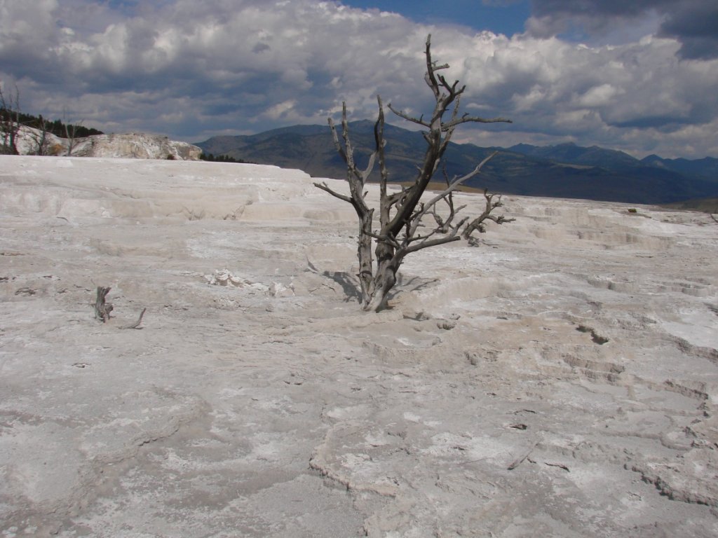 Yellowstone C 