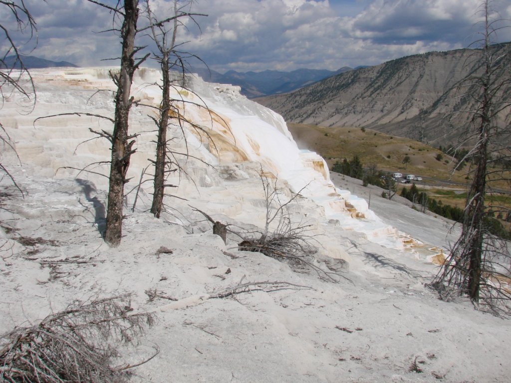 Yellowstone C 