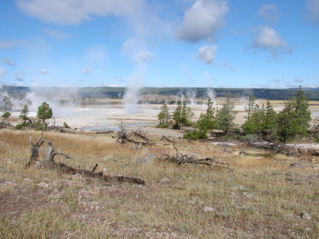 Yellowstone C 138