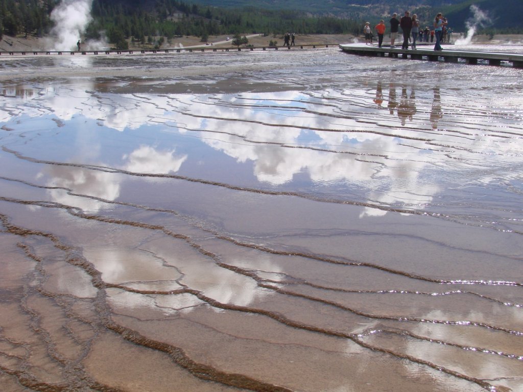 Yellowstone C 168