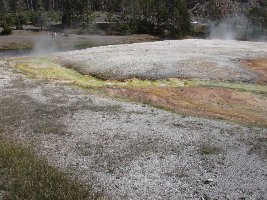 Yellowstone C 202