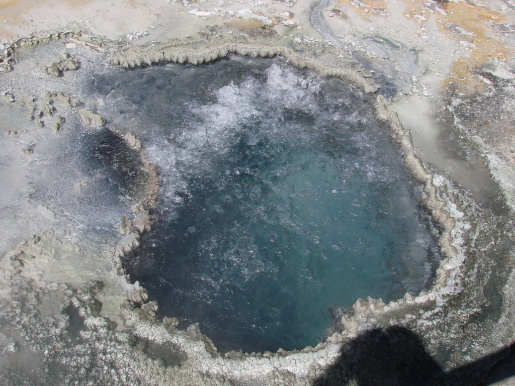 Yellowstone C 206