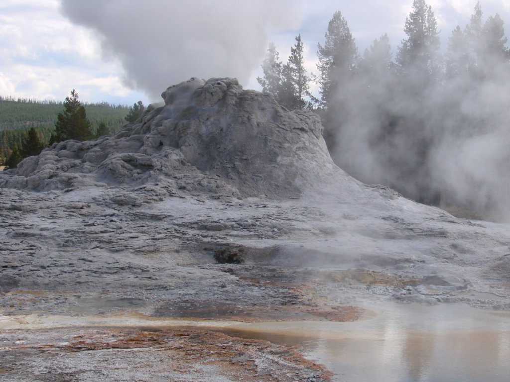 Yellowstone C 239