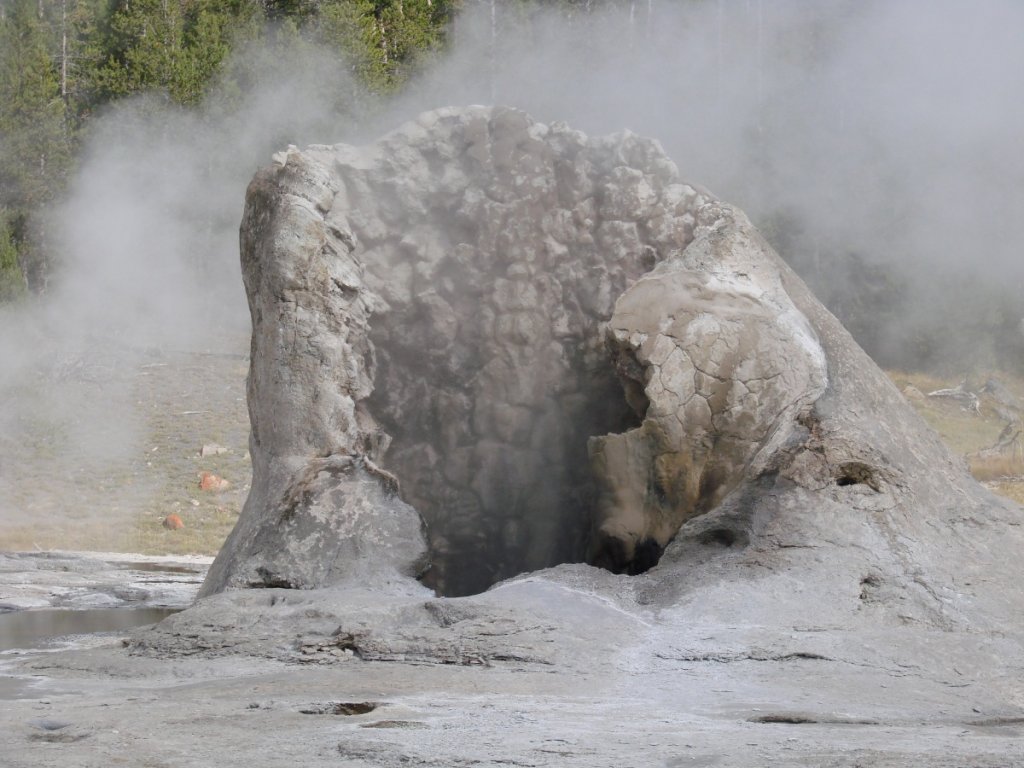 Yellowstone C 263