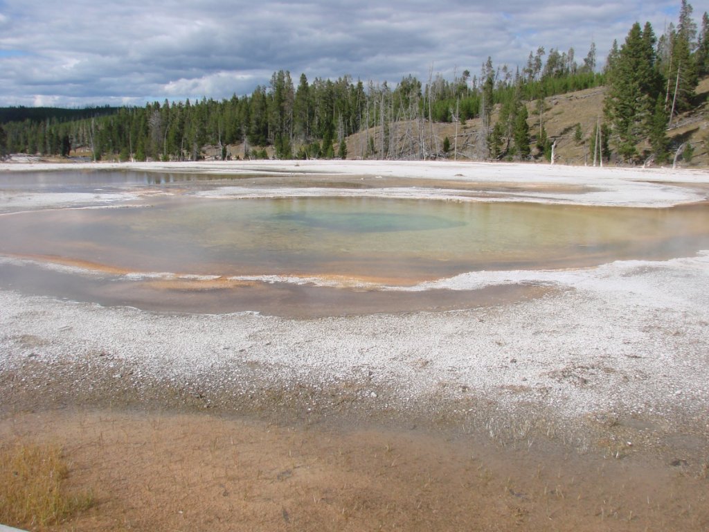 Yellowstone C 271