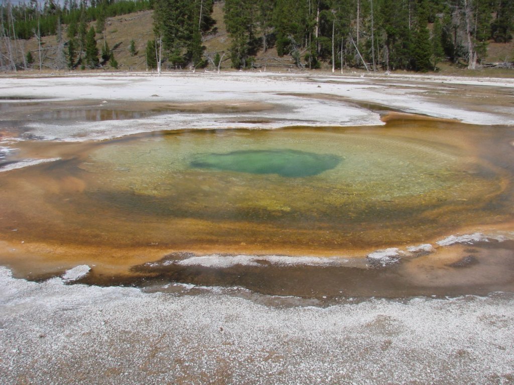 Yellowstone C 256