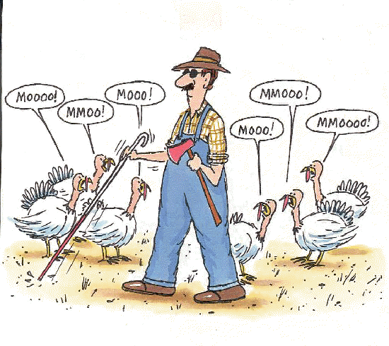 Blind-Farmer
