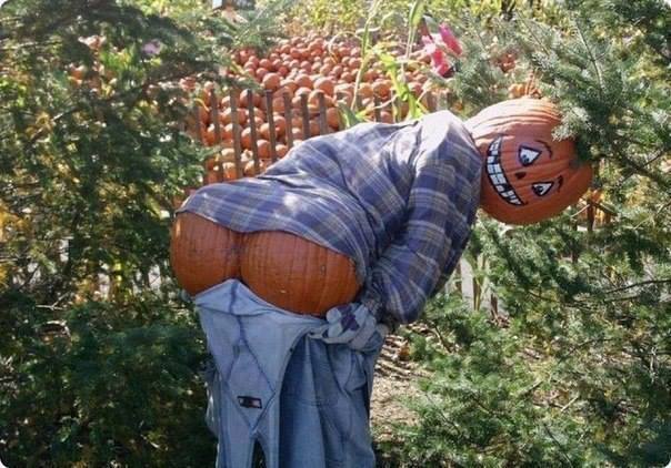 Pumpkin time again