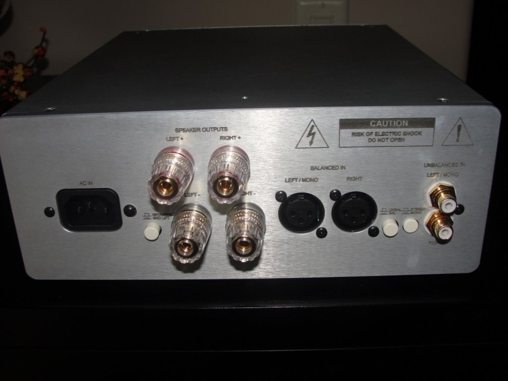 100.2SE Amps 