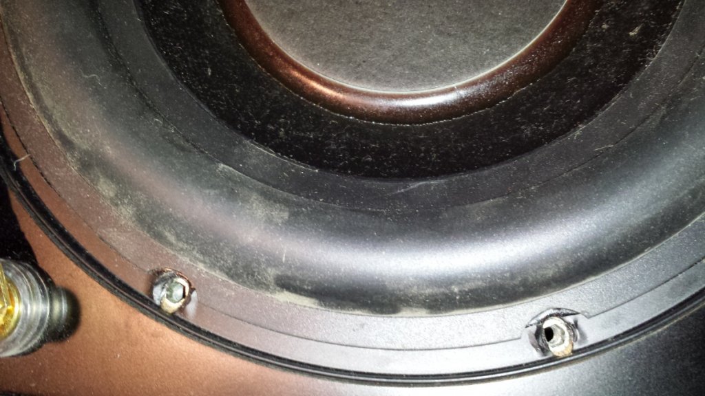 diaphragm
