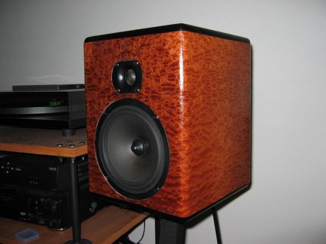 Ascend Acoustics CBM-170 w/ custom sapele veneer