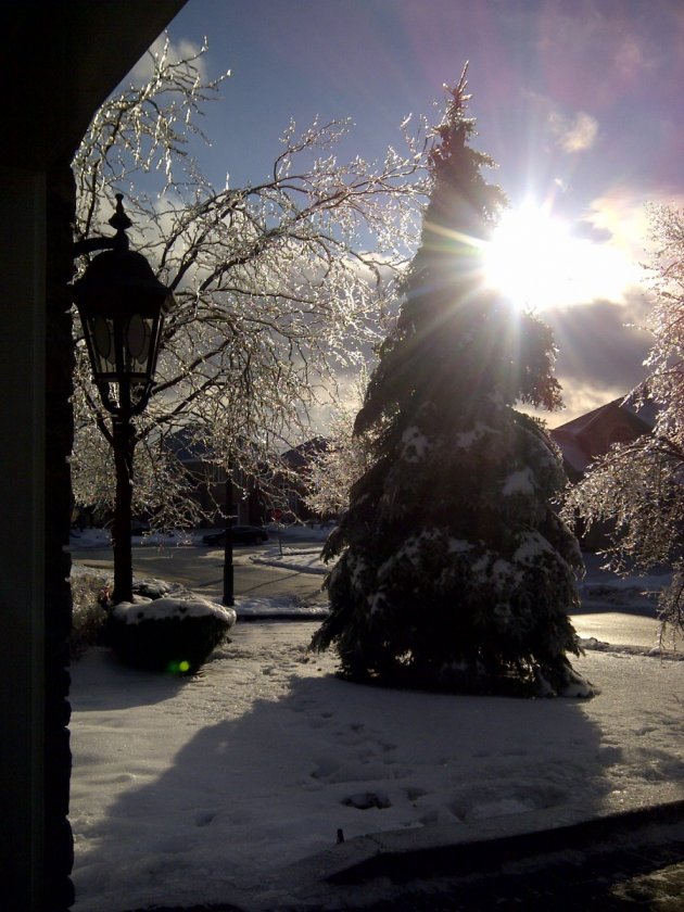 (Untitled)