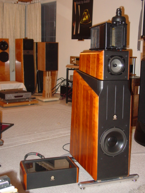 Omicron Stage Coherence (I) - Oh! This is a beauty!
Observe that this has a different mid driver!