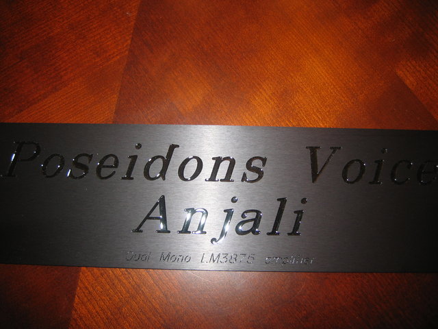 PV Anjali Front Panel - closeup - Black in fill on Anodized aluminum.
