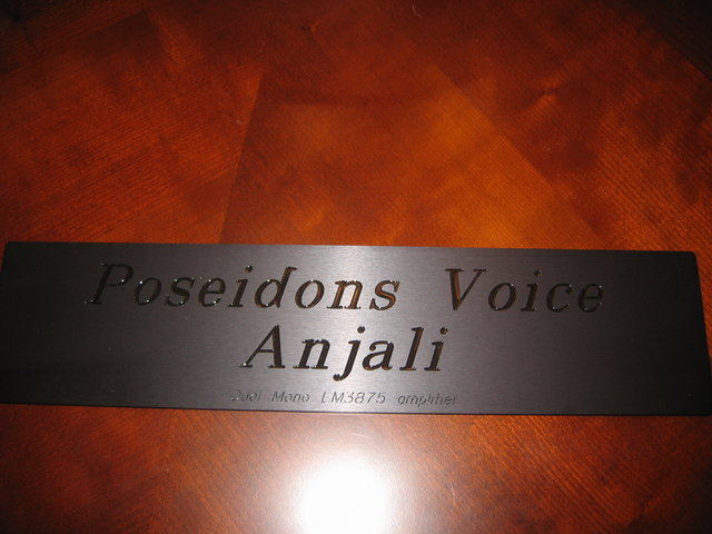 PV Anjali Front Panel - Black in fill on anodized aluminum.