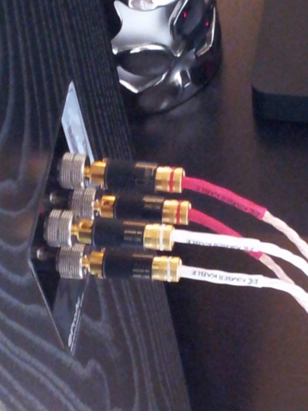 ProAc Bi-wired