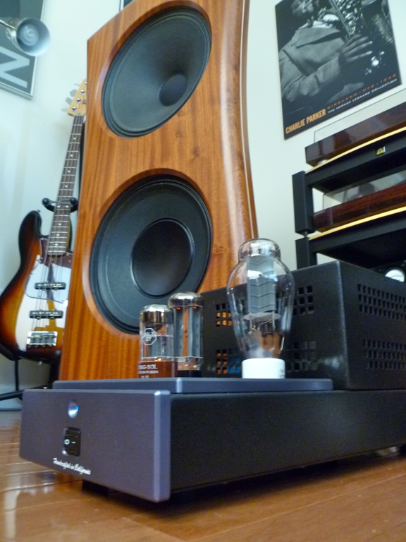 Sapele wood w/ Canary 300B mono's