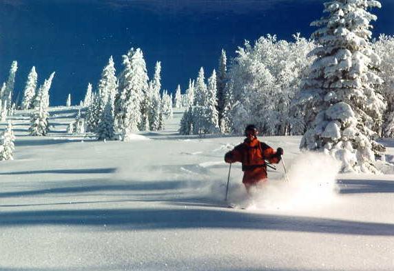 Steamboat backcountry