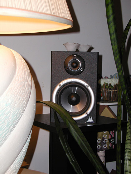 M-Audio SP5's