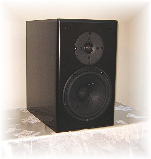 Custom 2-way - A 2-way sealed monitor designed for a customer's HT/music system.