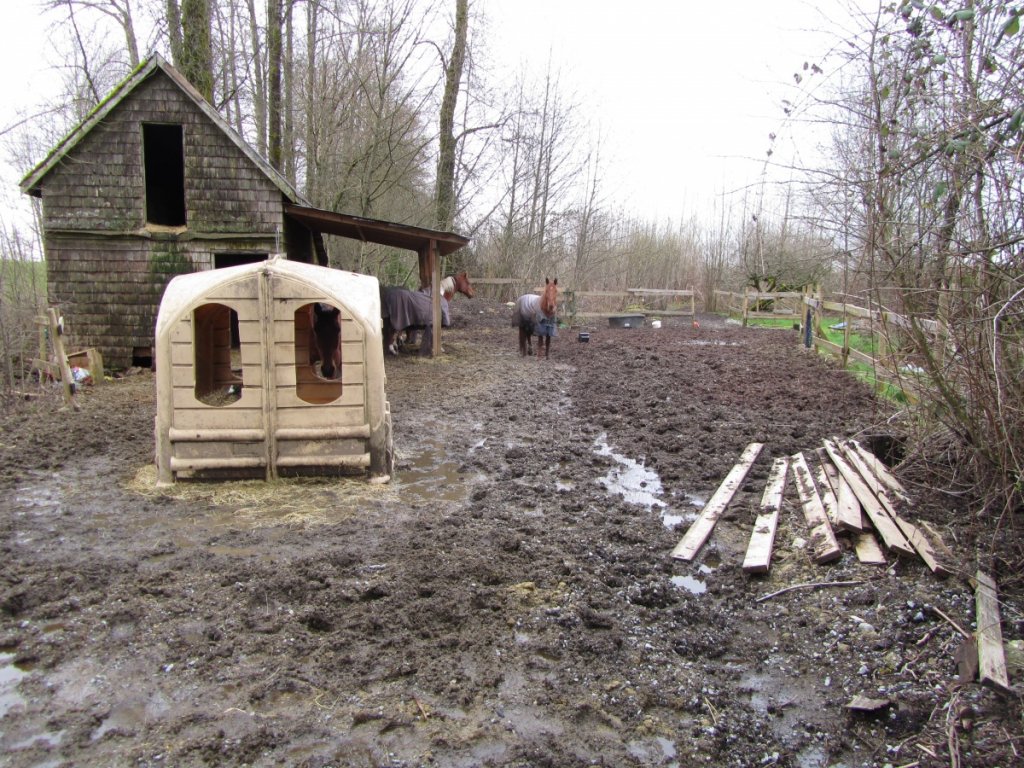 March 29 port coquitlam 