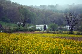 brown county4