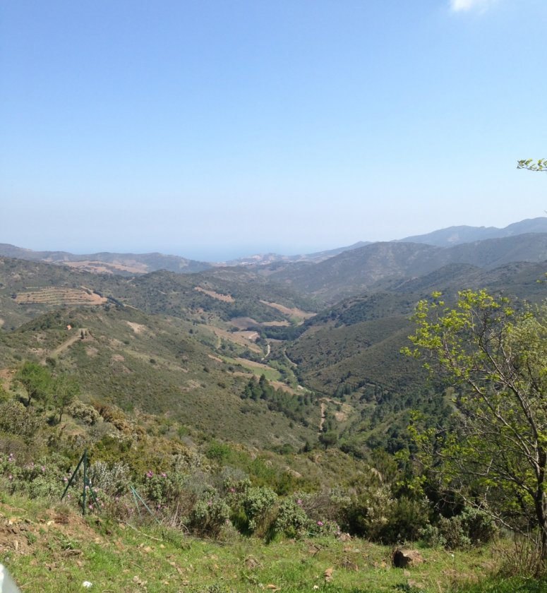 Banyuls sur Mer from the Col