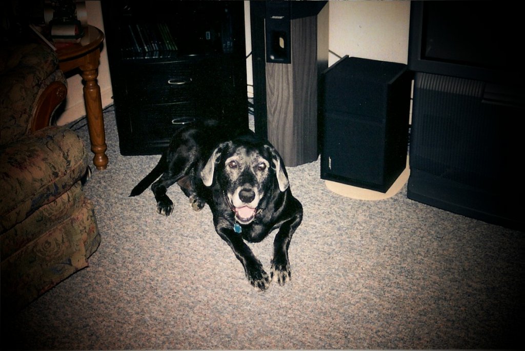 (Untitled)