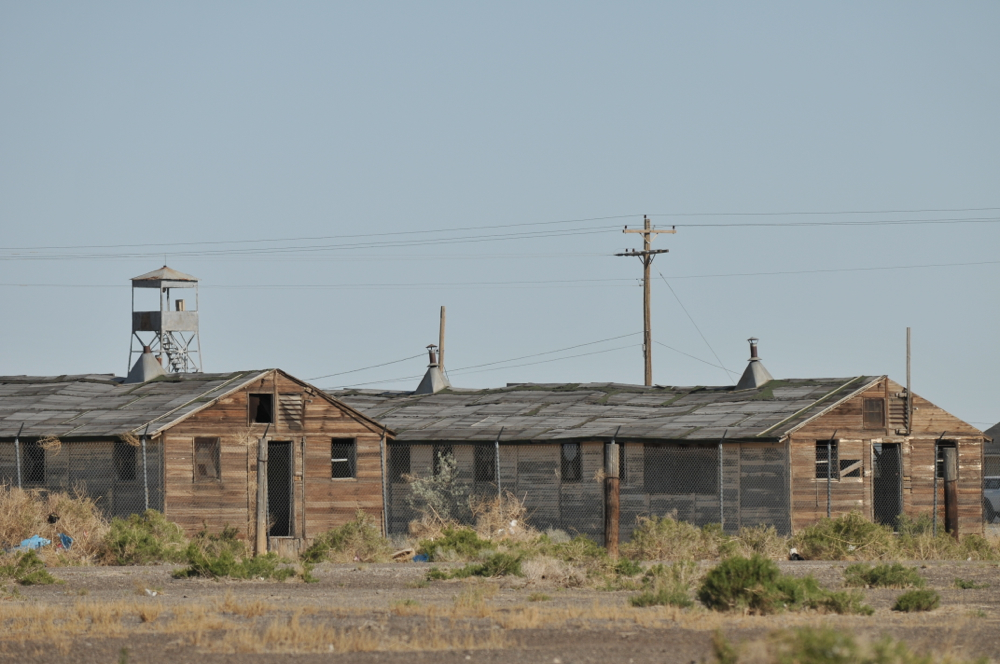 (Untitled)